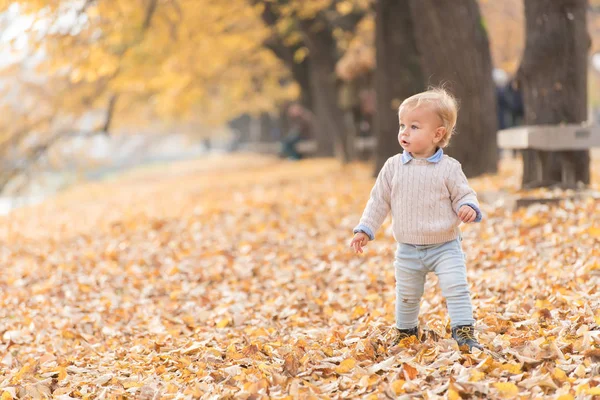 Bellissimo bambino che cammina getta le foglie autunnali al parco . — Foto Stock
