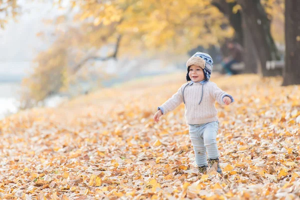 Bellissimo bambino che cammina getta le foglie autunnali al parco . — Foto Stock