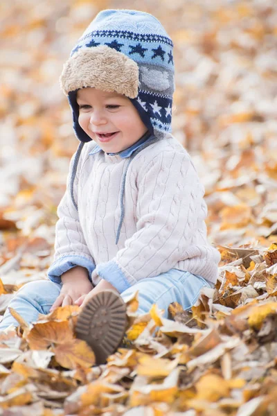 Ritratto di bellissimo bambino seduto alle foglie. Stagione autunnale . — Foto Stock