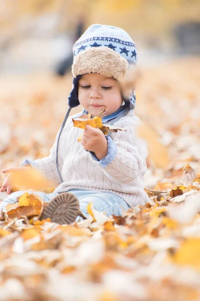 Портрет красивого хлопчика, який сидить і тримає листя в руках. Осінній сезон . — стокове фото
