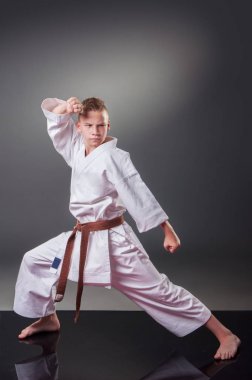 Yakışıklı genç erkek karate oyuncusu gri arka planda poz