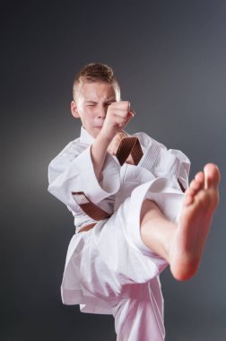 Gri arka planda poz yakışıklı genç erkek karate oyuncusu portresi