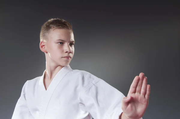 Portret Przystojnego Młodego Męskiego Gracza Karate Stwarzające Szarym Tle — Zdjęcie stockowe