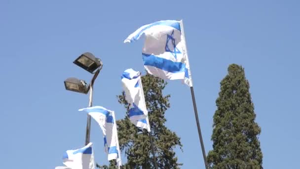 Drapeau Israélien Agitant Dans Vent Arrière Plan Dans Ciel Bleu — Video