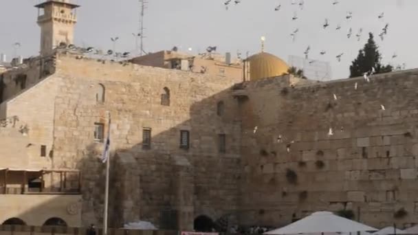 Western Wall Praying People — Stock Video