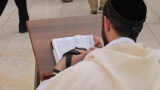 Reading Torah Scroll Synagogue — Stock Video