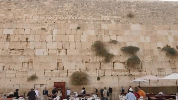 Rezando Povo Muro Ocidental Cidade Velha Jerusalém — Vídeo de Stock