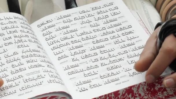 Leggere Libro Sacro Con Tallit Sulla Mano — Video Stock