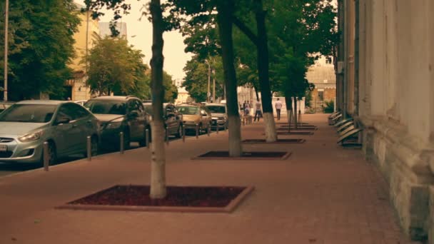 Vacker gata i sommar — Stockvideo