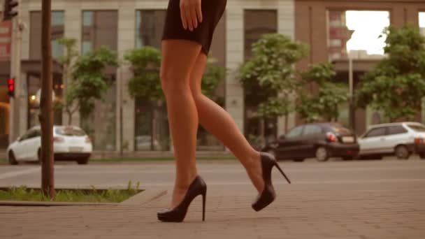 Вид сбоку элегантная женщина, идущая на работу — стоковое видео