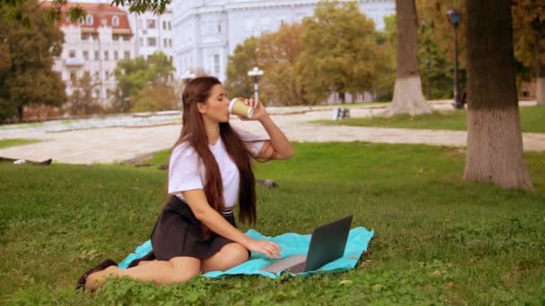 Student in park using computer — Stock Video