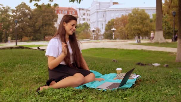 Girl skyping with boyfriend in park — Stock Video