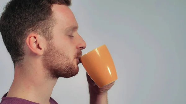 Komeita miehiä nauttivat muki teetä — kuvapankkivalokuva