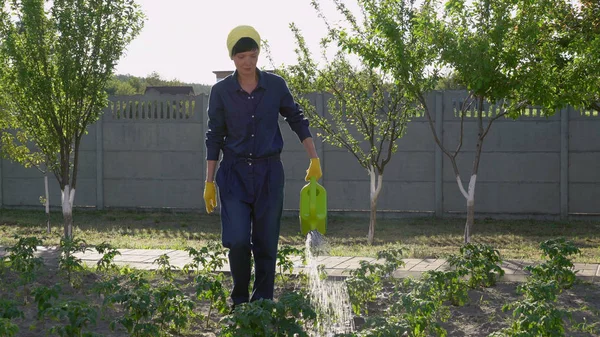 Morena caminando alrededor de terrenos en patios traseros . — Foto de Stock