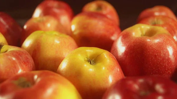 Close up red apple. Colored fruits for better healthy.