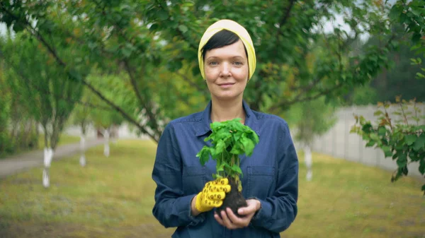 Bahçedeki kadın bahçıvan — Stok fotoğraf