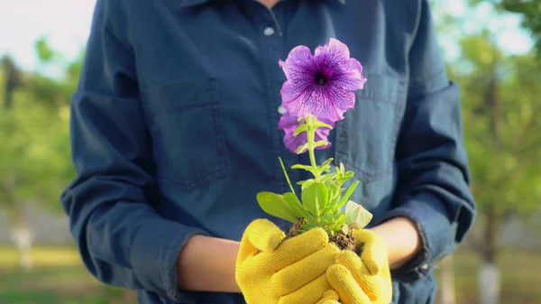 Florista ou jardineiro ao ar livre . — Fotografia de Stock