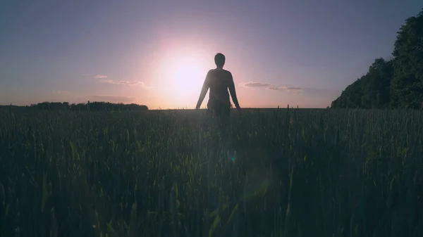 日没で草原を歩く女性 — ストック写真