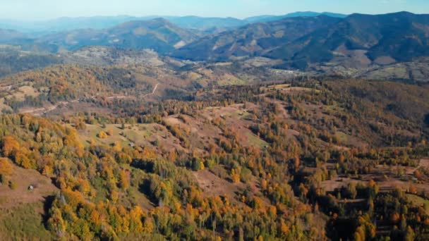 Aerial view on the pinewood mountains area — Stock Video