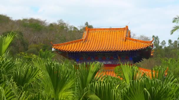 Traditional building surrounded by saw palmetto plants — Stock Video