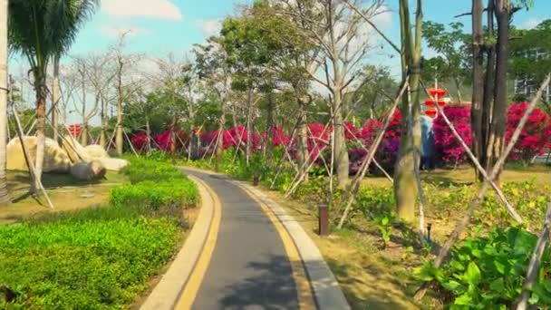 Verdura colorida em uma cidade grande — Vídeo de Stock