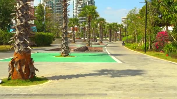 Arbres exotiques sur le trottoir de l'île Hainan — Video