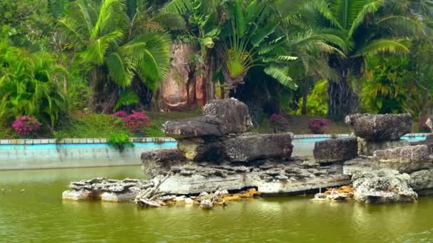 Piscina azul con piedras entre plantas brillantes y flores . — Vídeos de Stock