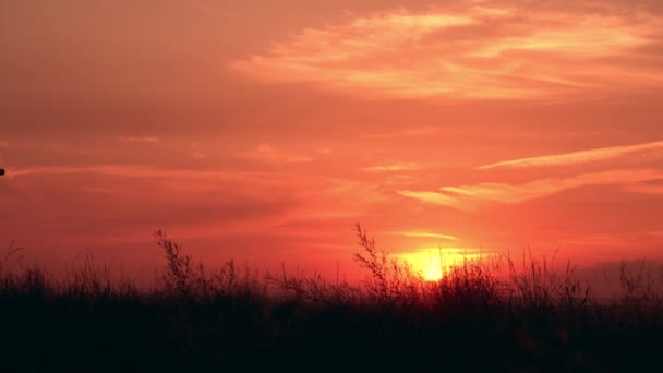 Häxa gå på uppåtgående sol — Stockvideo