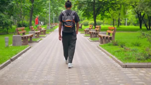 Achteruitkijk vent wandelingen op de straat — Stockvideo