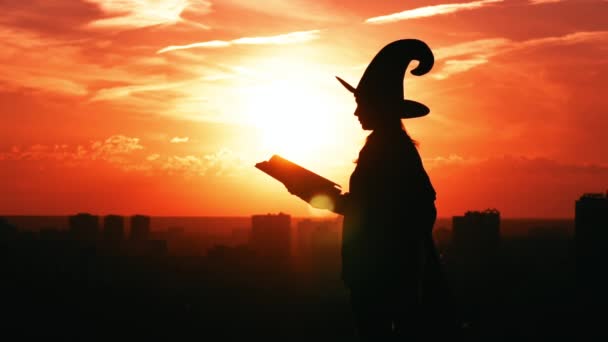 Silhouette Frau mit Hut und großen Zauberbuch im Freien — Stockvideo