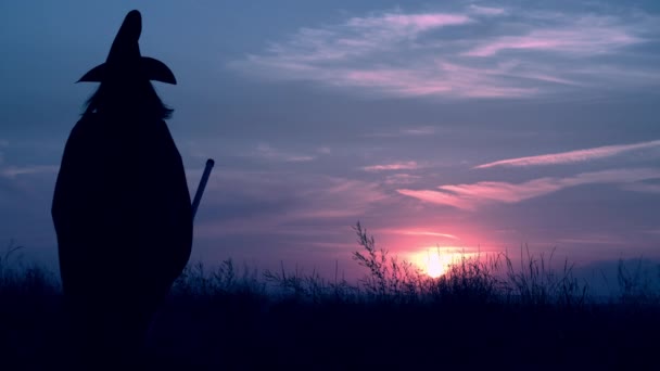 Sorcière en chapeau et manteau effraie les habitants de la ville — Video