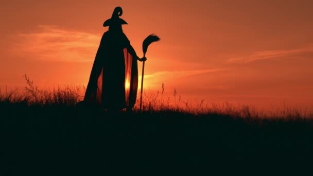 Menina em fantasia vestido bruxa detém um besom olhando no nascer do sol — Vídeo de Stock