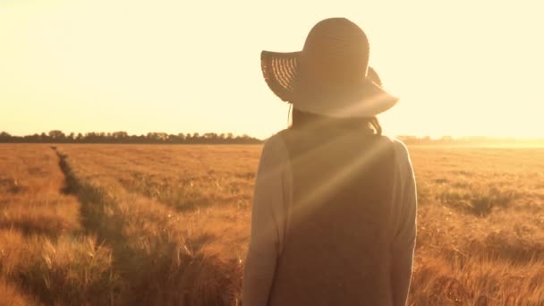 Güneş ışınları çiftçi üzerinde parlıyor — Stok video