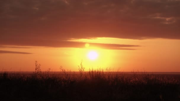 Flicka i maskeraddräkter häxa håller en kvast går på kullen Sunrise View — Stockvideo