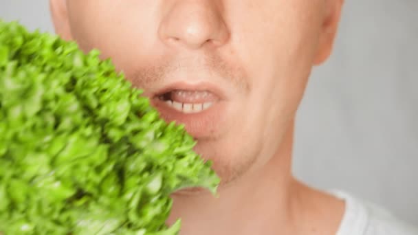 Cerrar cara justo hombre comer hoja vegetal — Vídeos de Stock
