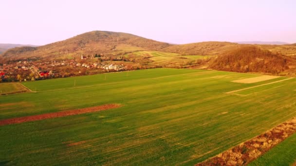 Drone vuela sobre prado en pueblo — Vídeo de stock
