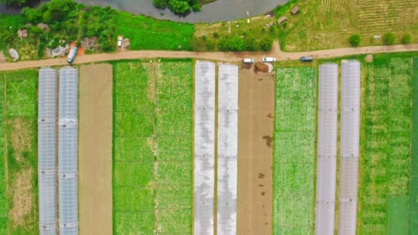 Drone flies above greenhouses — Stock Video