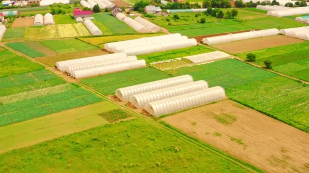 Aerial view on greenhouses — Stock Video