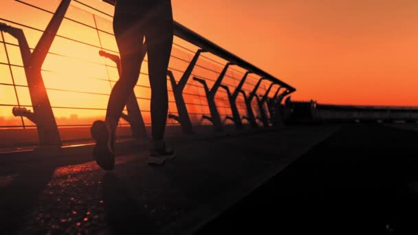 Atleta feminina traseira correndo na cidade à noite — Vídeo de Stock