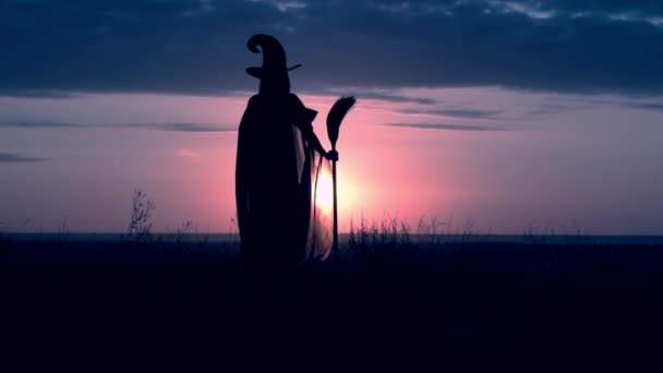Uma bruxa segurando vassoura posando ao ar livre — Vídeo de Stock