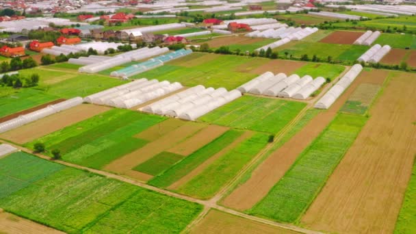 Drone voa acima da aldeia com hothouse — Vídeo de Stock