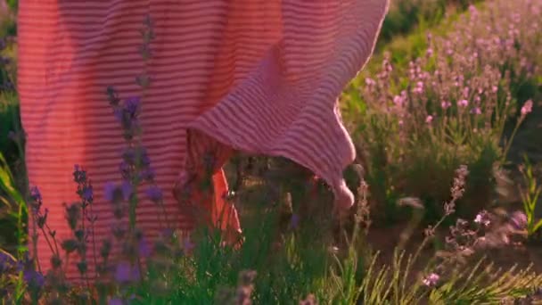 B rouler vue arrière femmes marche sur le terrain — Video