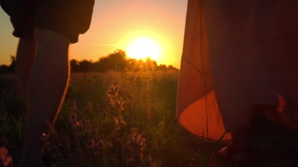 Tillbaka visa familj promenad på fältet vid solnedgången — Stockvideo