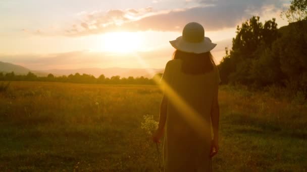 Вигляд ззаду жіночі прогулянки на полі на заході сонця — стокове відео