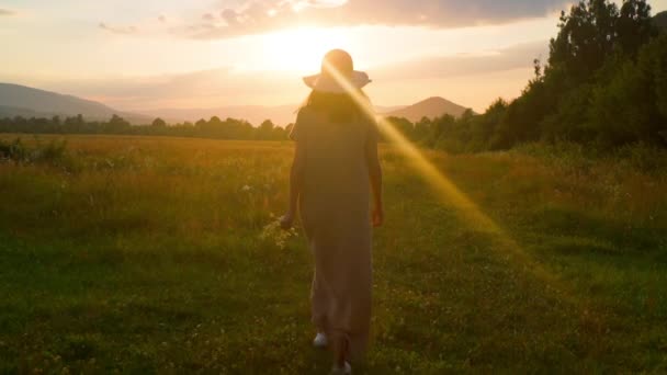Вид ззаду жінка гуляє по сільській місцевості — стокове відео
