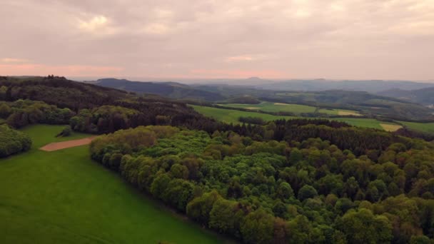 Drone voando acima de madeira céu nublado — Vídeo de Stock