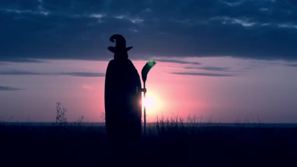 Czarodziejka w kapeluszu i płaszczu trzymająca miękkie ręce na polu — Wideo stockowe