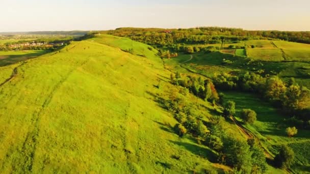 Flying paragliders in summer season — Stock Video