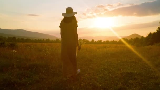 Widok z tyłu samica z rumiankami spacery po polu o zachodzie słońca — Wideo stockowe