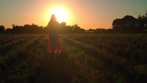 Achterste scène vrouw lopen op het veld bij zonsondergang — Stockvideo